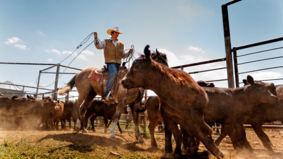 farmland-documentary-review