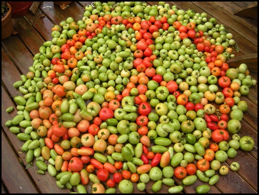 produce peace sign_0